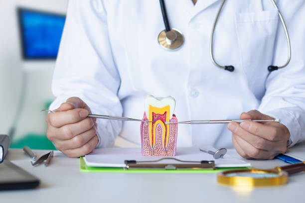 Best Emergency Dental Services for Seniors in Whitney, NV